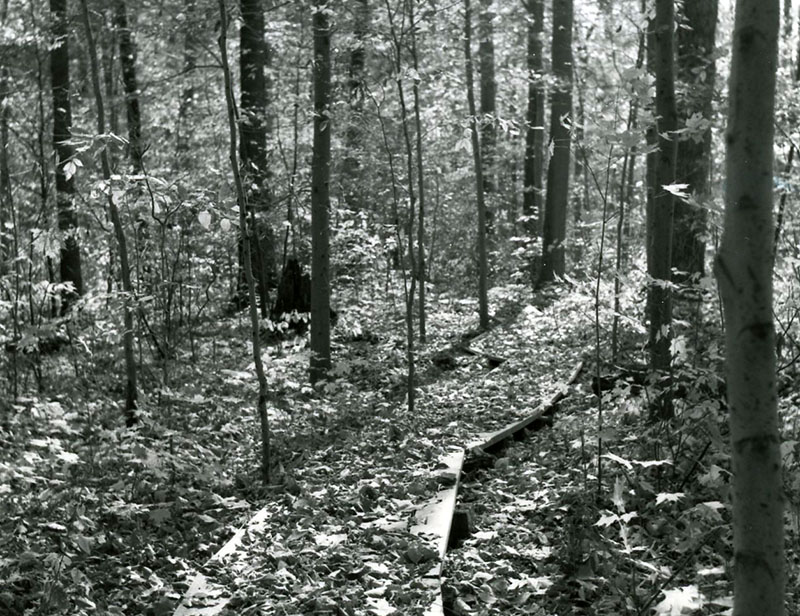 Fowler Woods
Photo ID PL: #233