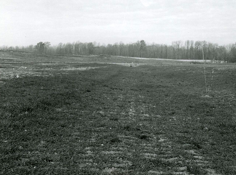 November 3, 1980
Hampton waterway
Photo ID#: A1027