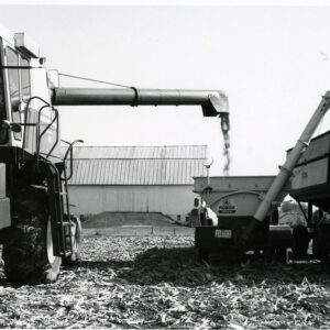 11_13_1980_Using_a_weigh_wagon_to_make_a_no_till_corn_yield_check._H.L._Hopkins_Farm._Jackson_Twp_website-5238