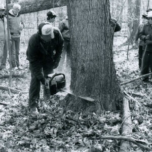 11_1985_Kaple_Lumber_Co_Felling_Tree__1__Foresty_Field_Day__Willis_Woods_website-3917
