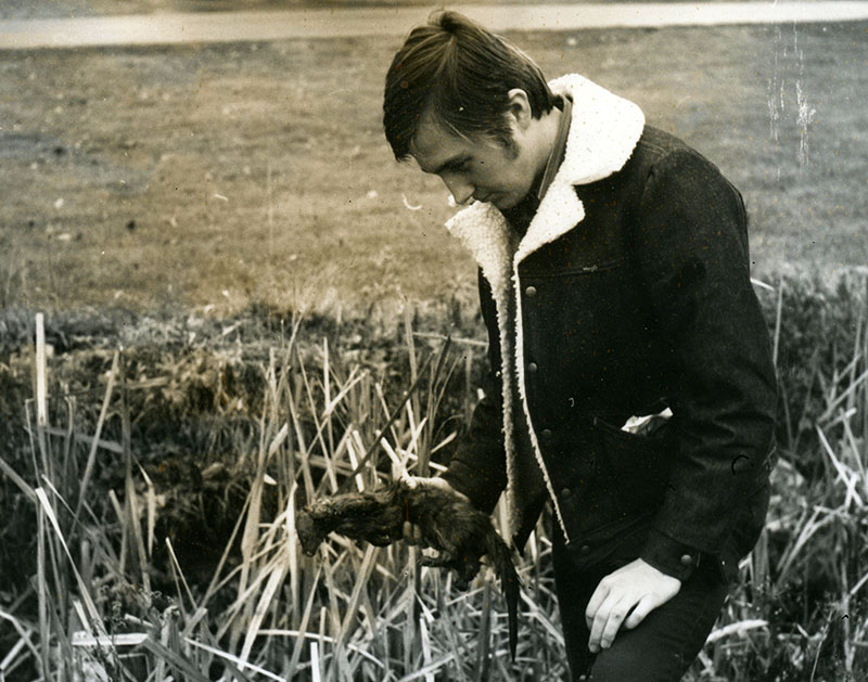 November 23, 1977
Jeff Van Loon traps a mink
Photo ID#: RSWCD489