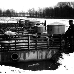 11_27_1971_Frank_Lawrence_examines_his_manure_storage_used_for_a_hog_enterprise_website-444