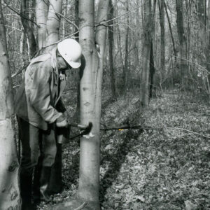 12_03_1980_Hampton_Woodlot._Richland_County_Bob_Mills_frilling_a_young_Beech_tree_prior_to_chemical_application_website-4609