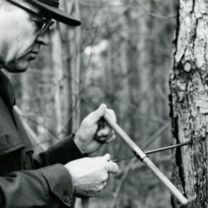 12_19_1966_Norris_Quam_at_Cye_Reeder_Farm._Measurement_of_growth_rate_with_an_increment_borer_website-3872