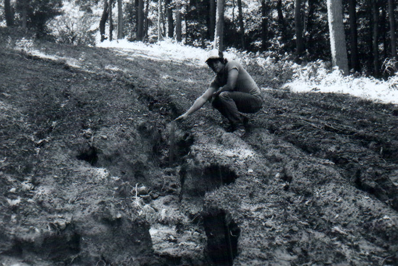 1980
Skid Trail Erosion 
Camp Avery Hand, Toban Run Stabilization Project
Photo ID#: S197