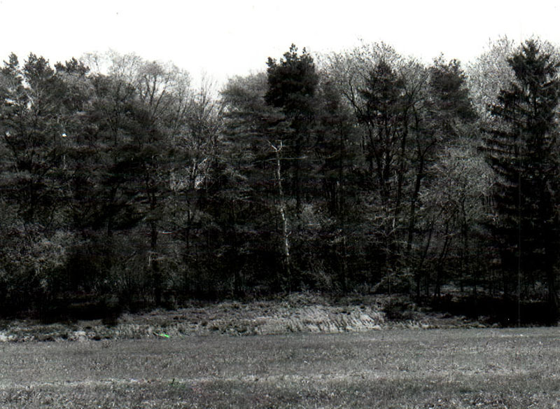 1980?
Discovery School outdoor land lab
Photo ID#: E85