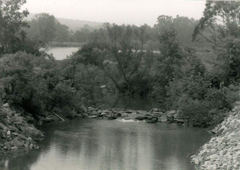 1990
Cedar Fork 
Tornado clean-up
Photo ID#: W26