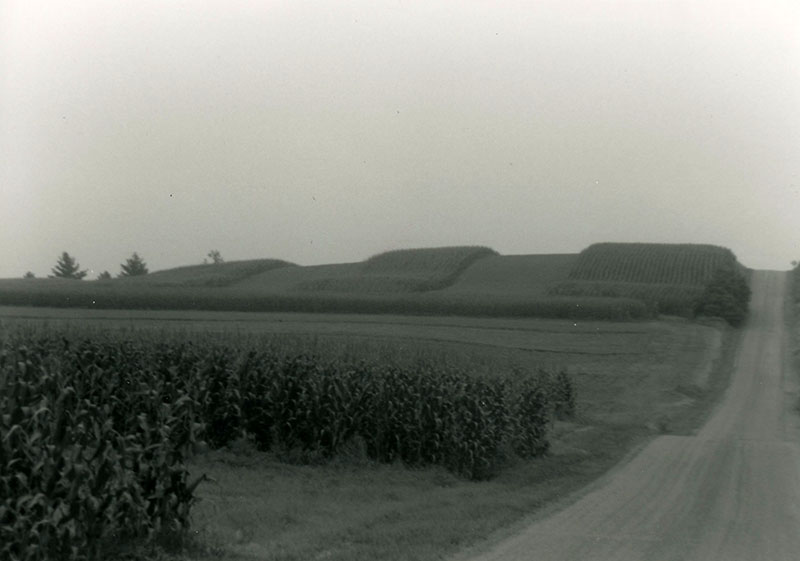 1990
Cedar Fork
Tornado clean-up
Photo ID#: W33