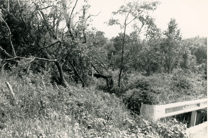 1990
Cedar Fork
Tornado clean-up
Photo ID#: W48