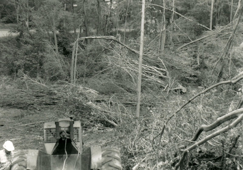 1990
Cedar Fork
Tornado clean-up
Photo ID#: W49