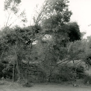 1990_Tornado_clean_up_Bellville_Johnsville_Rd___I_71__1_website-2569