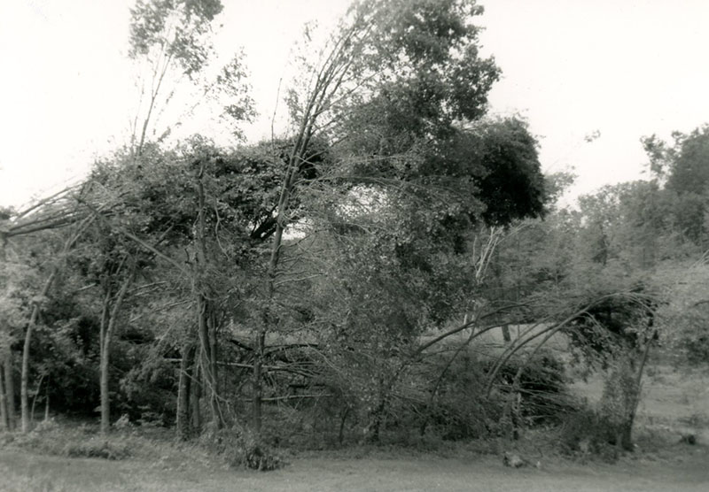 1990
Tornado clean-up on Bellville-Johnsville Road and I-71
Photo ID#: L33