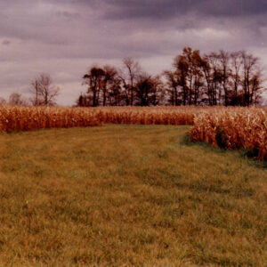 1991__Dean_and_Howard_Cook_Cooperator_of_the_Year_website-1505
