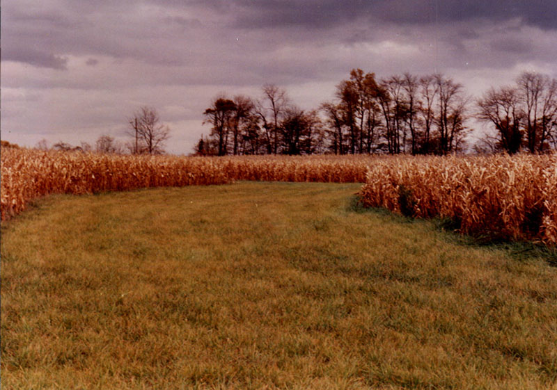 1991
Dean and Howard Cook
Cooperator of the Year
Photo ID#: A910