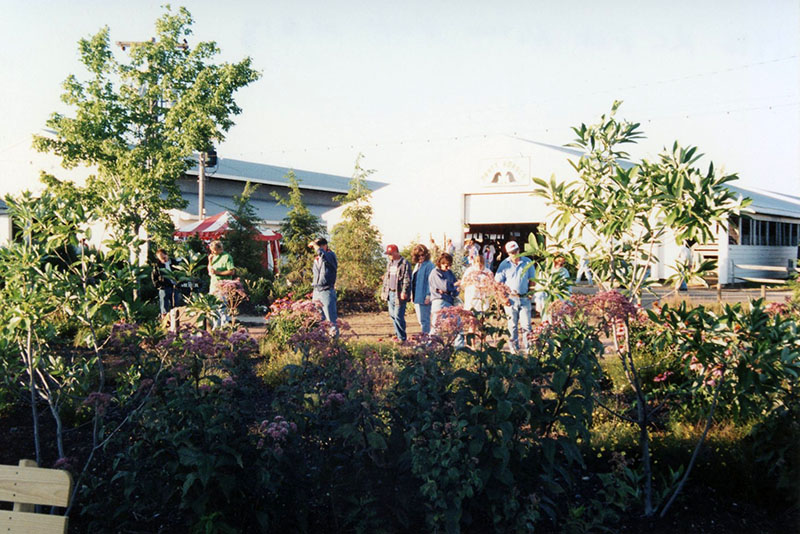 1996
Richland County Fair Nature Park
Photo ID#: E361