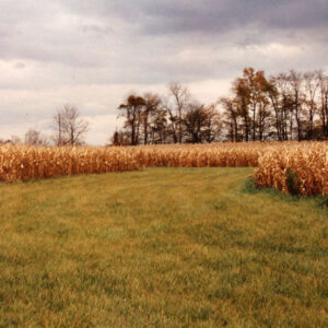 1999_Cooperator_of_year_Dean_Cook_Farm_12_website-3079