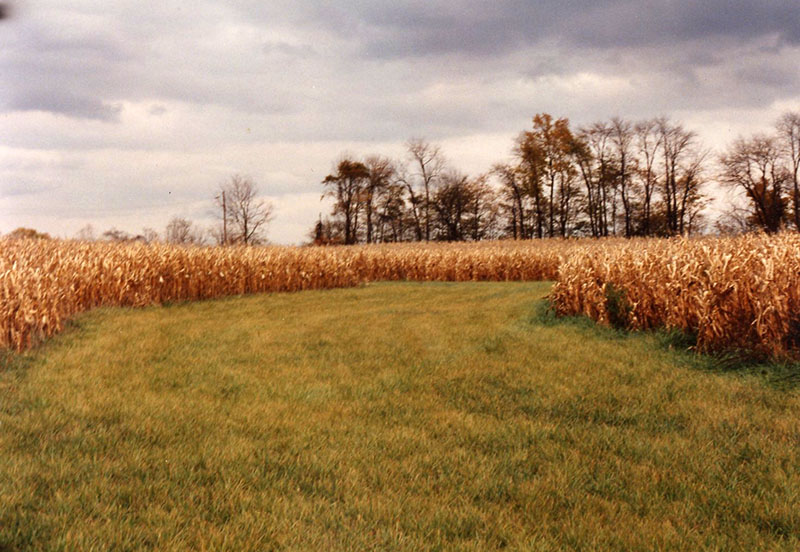 1999
Cooperator of the Year
Dean Cook Farm
Photo ID#: RSWCD29