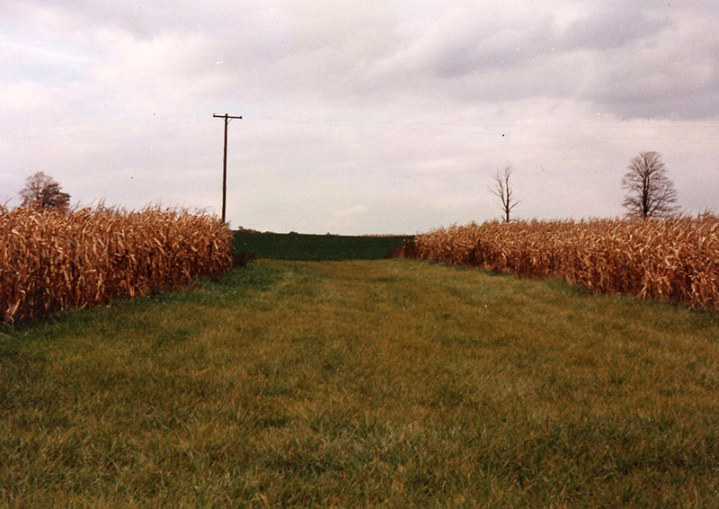 1999
Cooperator of the Year
Dean Cook Farm
Photo ID#: RSWCD20