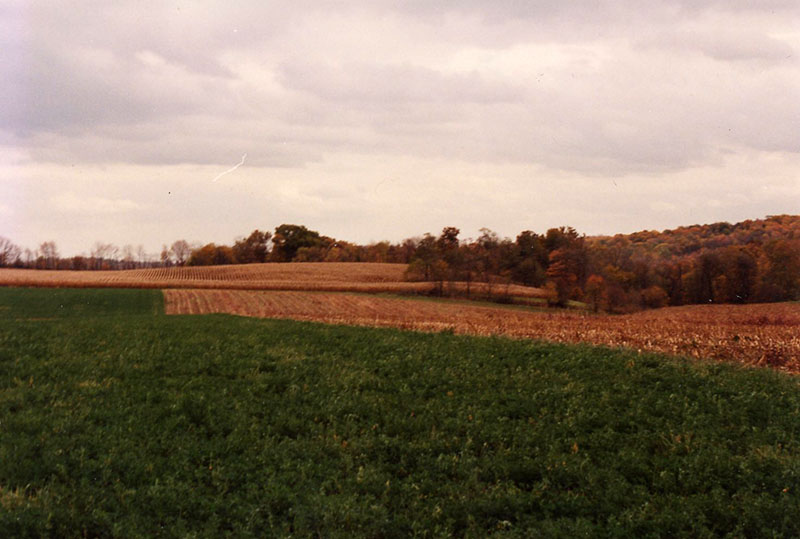 1999
Cooperator of the Year
Dean Cook Farm
Photo ID#: RSWCD22