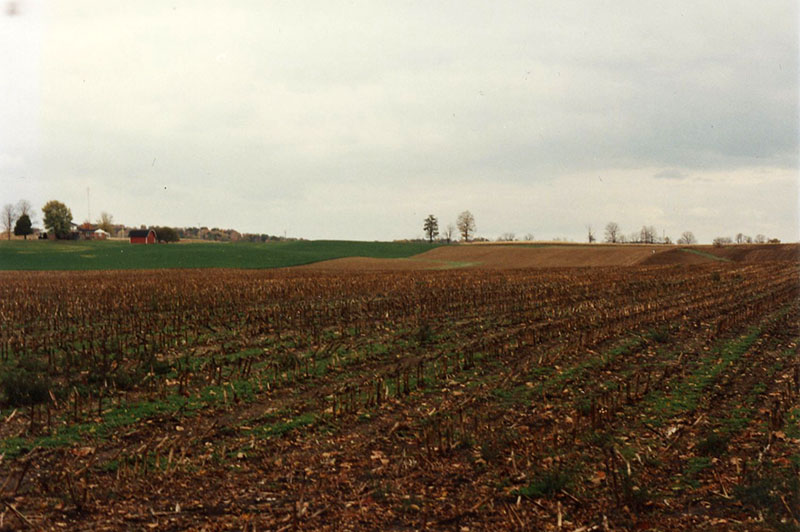 1999
Cooperator of the Year
Dean Cook Farm
Photo ID#: RSWCD23