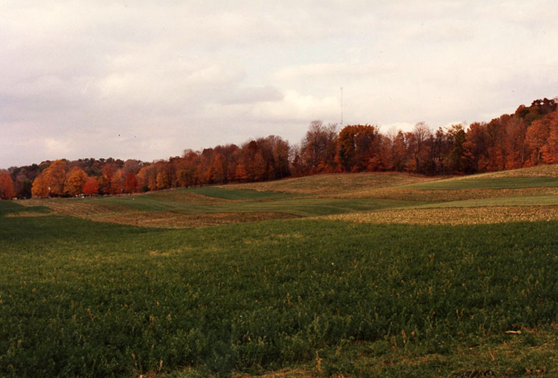 1999
Cooperator of the Year
Dean Cook Farm
Photo ID#: RSWCD26