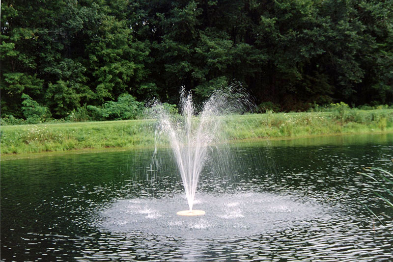 2000
Pond Clinic
Richland Fish and Game Club
Photo ID#: S551