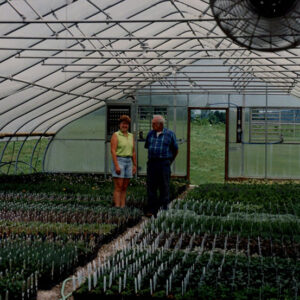 2003_Dale_Broeske_Beck_s_Greenhouse_website-3091