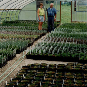 2003_Dale_Broeske_and____Beck_s_Greenhouse_website-3090