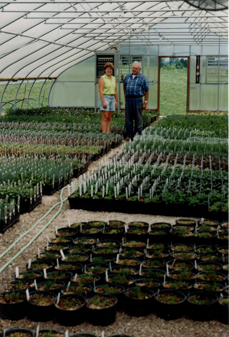 2003
Dale Broeske and Beck's greenhouse
Photo ID#: RSWCD37