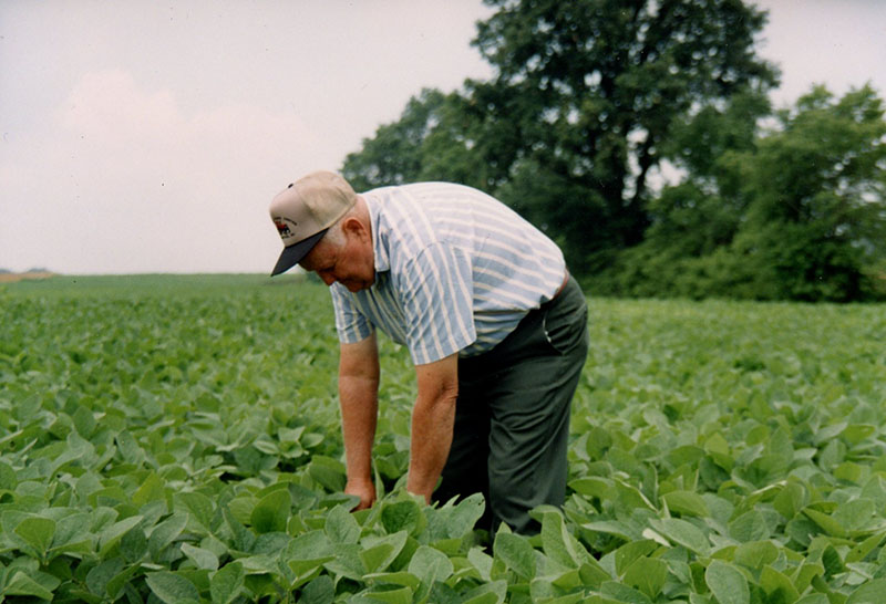 2004
Ken Adams in a soy bean field
Photo ID#: RSWCD45