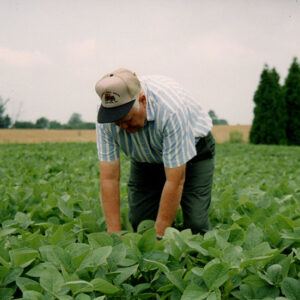 2004_Ken_Adams_in_soy_beans_website-3100