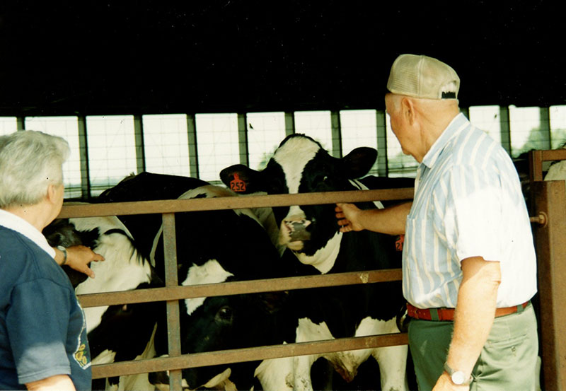 2004
Ken Adams and Joyce Adams' cows
Photo ID#: RSWCD49