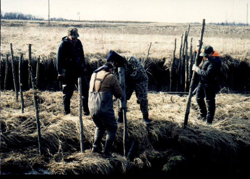 Bank stabilization using willow posts
Photo ID#: A130