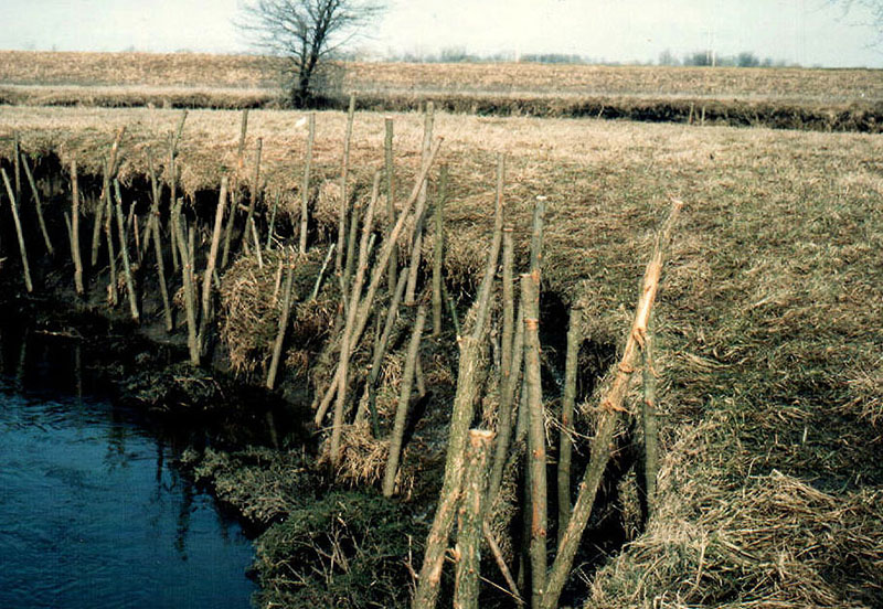 Bank stabilization using willow posts
Photo ID#: A131