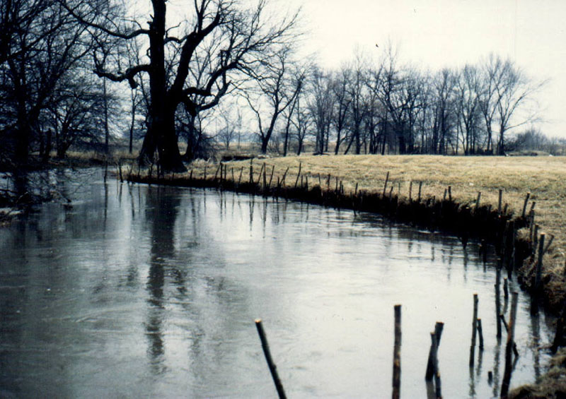 Bank stabilization using willow posts
Photo ID#: A132