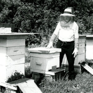 Beekeeper_with_bee_hives_website-1507