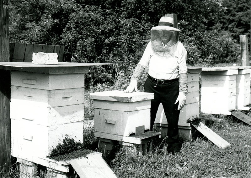 Beekeeper with bee hives
Photo ID#: A912