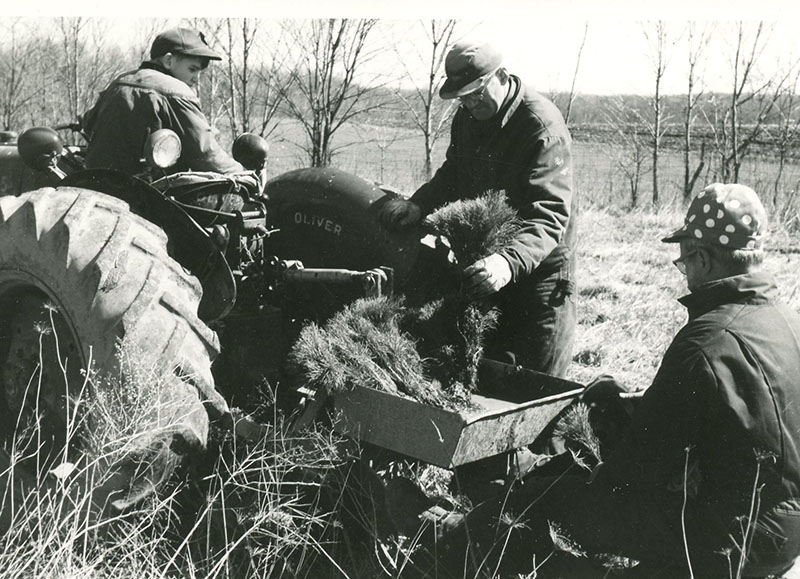 Planting trees
Photo ID#: P85