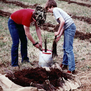 Boys_Scouts_Tree_Planting_Project_Website-4923