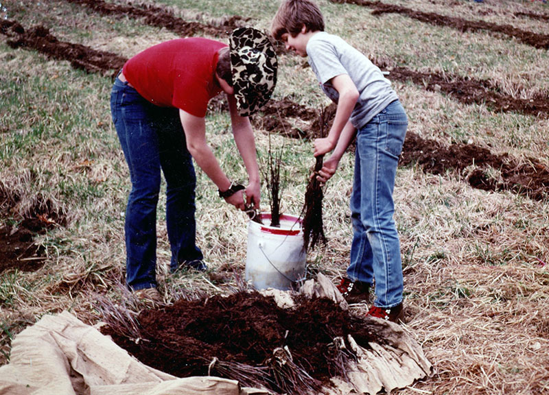 Boy Scout tree planting project
Photo ID#: Y104