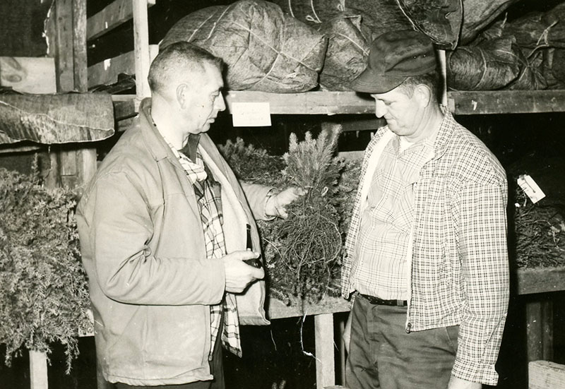 Claude Schickling at Pine Grove Nursery
Photo ID#: N48