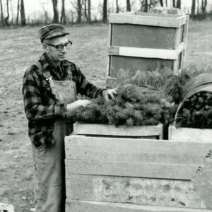 Claude_Shickling_looking_at_trees_in_containers_website-4361