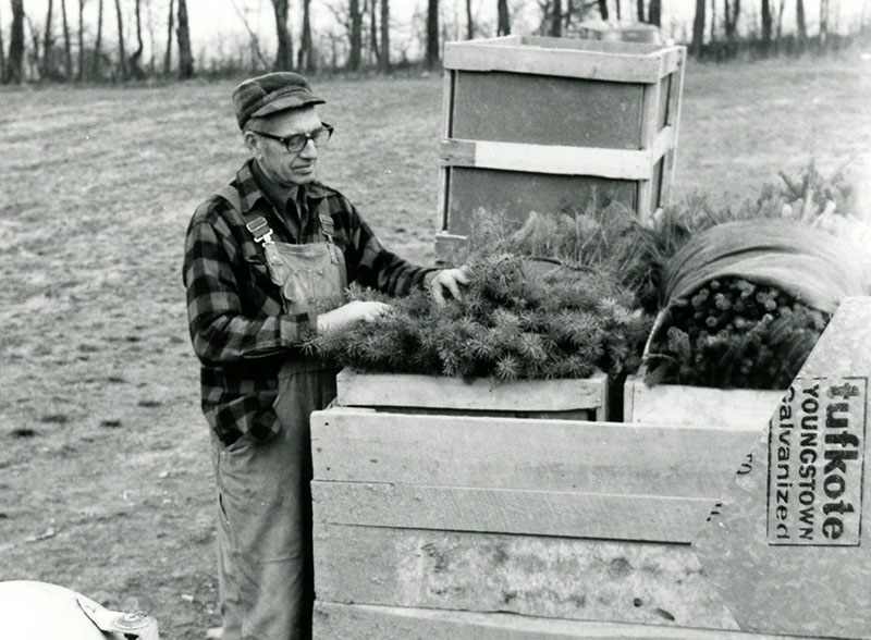 Claude Schickling looking at trees in containers
Photo ID#: S626