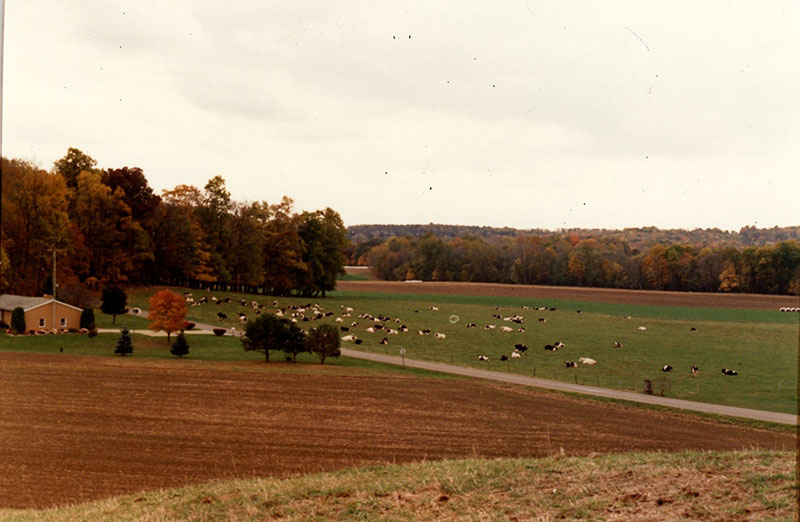 Cooperator of the Year, The Dean Cook Farm
Photo ID#: RSWCD57