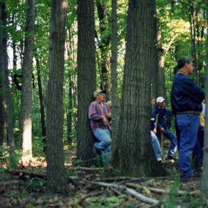 Forestry_Scene._unknown_place___year_website-3927