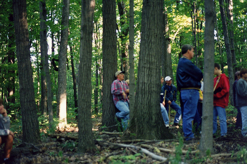 Forestry scene
Photo ID#: S202