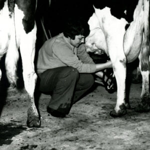 Lady_with_milk_cows.R_L_on_off__drip_no_drip_website-969