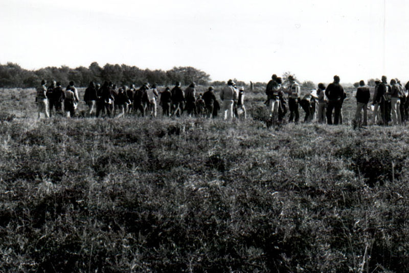 Richland County Land Judging Contest
Photo ID#: Y215