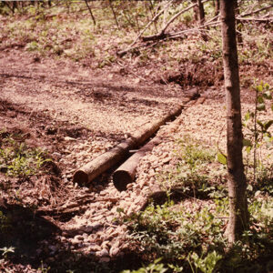 Logging_road_stream_crossing_website-3939