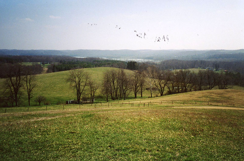 Malabar State Park
Photo ID#: PL78